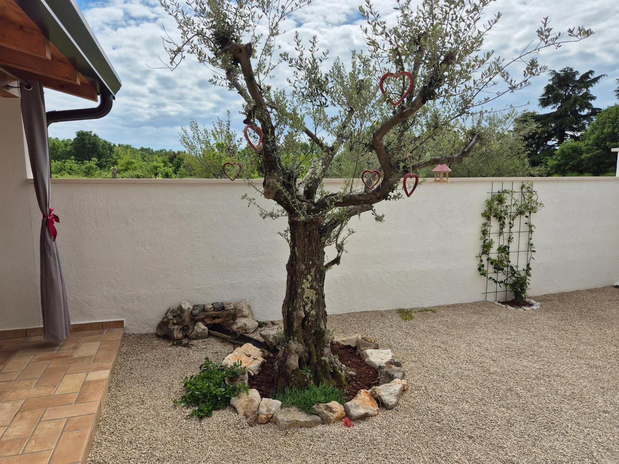 Apartment Vinja Porec - Privat Garden - Whirlpool Экстерьер фото
