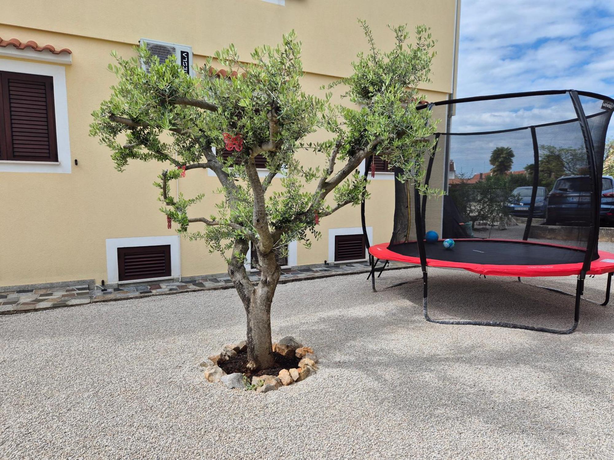 Apartment Vinja Porec - Privat Garden - Whirlpool Экстерьер фото